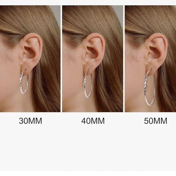 Stainless Steel Twisted Hoop Earrings NWT - Picture 4 of 5